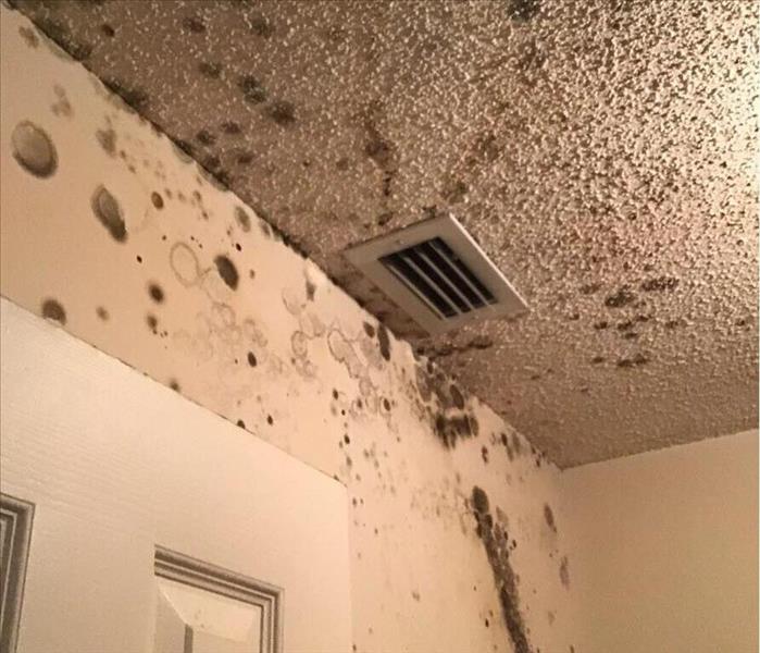 mold growth from a/c unit condensation.