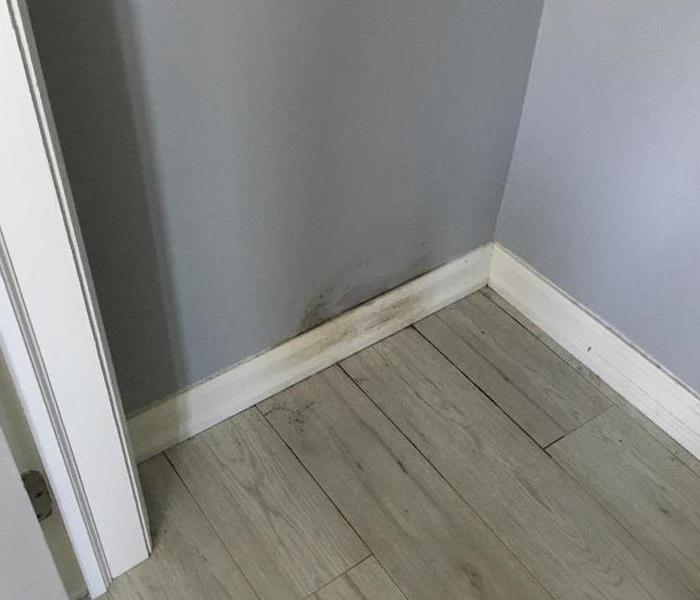 Dirt or mold on the white trim and blue wall with grey flooring.