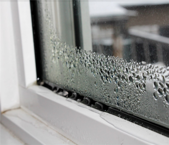 a window sill covered in water