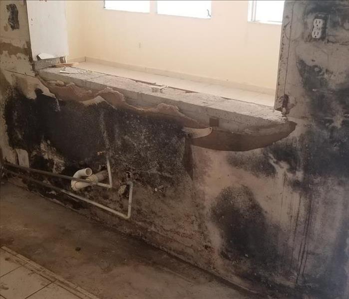 demolished kitchen assemblies, showing mold