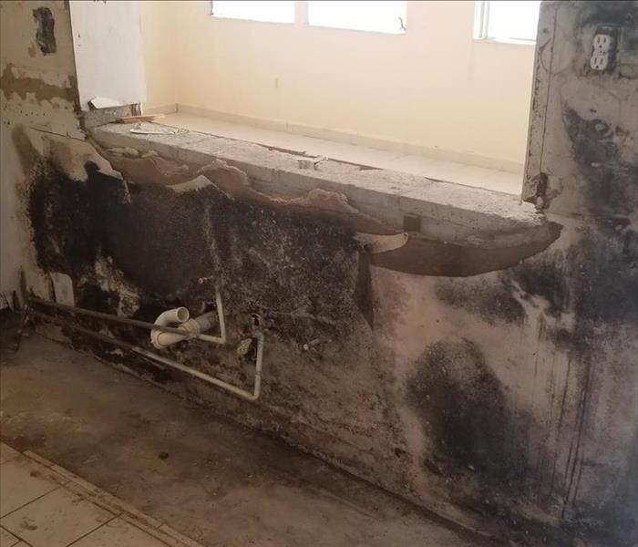 demolished kitchen assemblies, showing mold