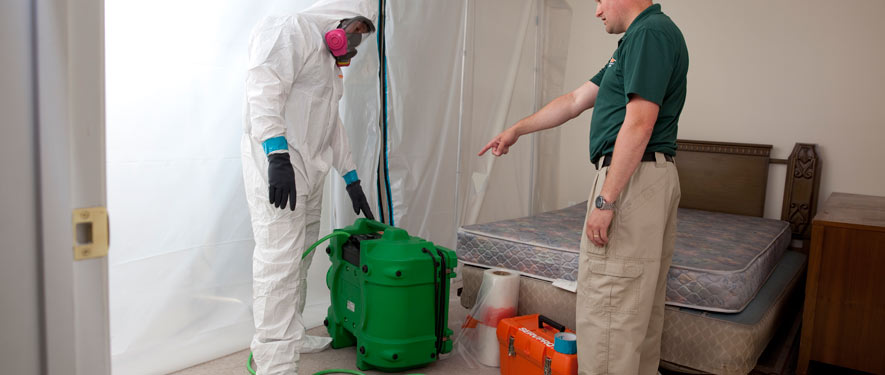 Ft. Lauderdale, FL mold removal process